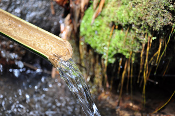 Source of pure water during a trail