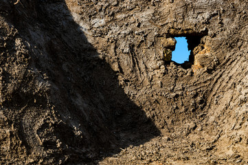 Field,light,nature and soil