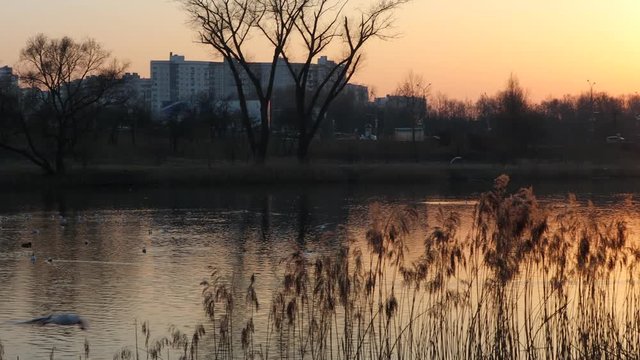 sunset time in belarusian aprk