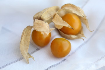 Berries physalis, on a white background.  There is a place for text, copy space.