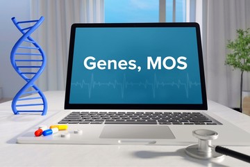 Genes, MOS – Medicine/health. Computer in the office with term on the screen. Science/healthcare