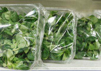 Fresh green  leaves in  package box. Arugula sprouts. Fresh express organic salad spring. 