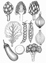 Set of graphic illustrations with the image of vegetables:artichoke, cabbage, peas, onions, eggplant, broccoli . Drawn by hand. Design for printing postcards, posters