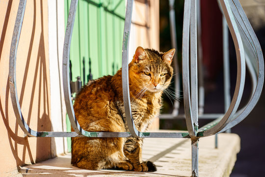 Chat Triste Images Browse 212 Stock Photos Vectors And Video Adobe Stock Chat Triste Images Browse 212 Stock Photos Vectors And Video Adobe Stock