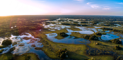 Pantanal photographed in Corumba, Mato Grosso do Sul. Pantanal Biome. Picture made in 2017.