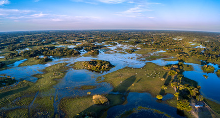 Fototapeta na wymiar Pantanal photographed in Corumba, Mato Grosso do Sul. Pantanal Biome. Picture made in 2017.