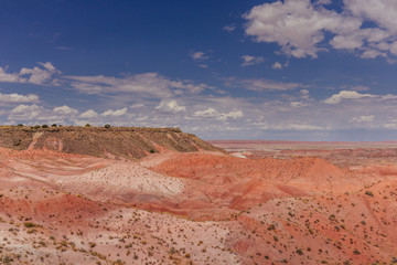 Petrified Forest National Park, Arizona, USA