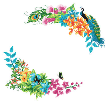 Summer tropical isolated frame decoration with peacock, palm leaves and hibiscus flowers. Vector floral background.