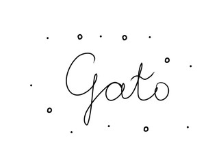 Gato phrase handwritten with a calligraphy brush. Cat in portuguese. Modern brush calligraphy. Isolated word black