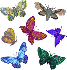 Vector Rainbow Color Butterflies Set