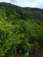 Obraz premium view of mountains