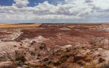 Fototapeta na wymiar Petrified Forest National Park, Arizona, USA