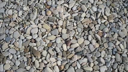 pebbles, small stones from the surface of gray