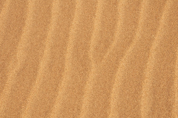 Fototapeta na wymiar Close up of sandy beach pattern in summer. Yellow waves of sand. Sand dunes.