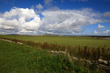 Fototapeta na wymiar A typical landscape in the Orkney islands, Orkney, Scotland, Highlands, United Kingdom