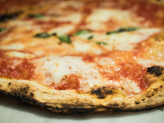 close-up of pizza margarita
