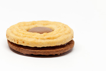 a chocolate biscuit on white background