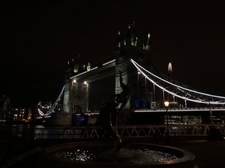 Obraz premium bridge at night