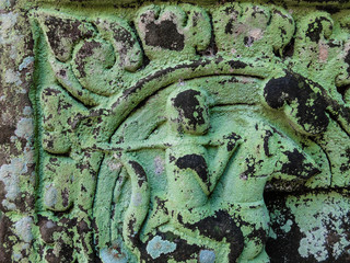 Old ornament on the ancient wall with moss and lichen, patina, Angkor Wat, Cambodia