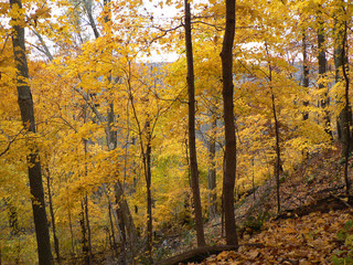 Shallenberger Nature Preserve, Lancaster, Ohio