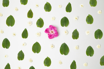 Floral pattern with roses and green leaves on white background - field rose and eucalyptus leaves