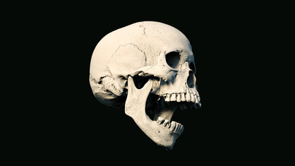 Obraz premium Human skull on Rich Colors a Black Isolated Background. The concept of death, horror. A symbol of spooky Halloween, Virus. 3d rendering illustration.
