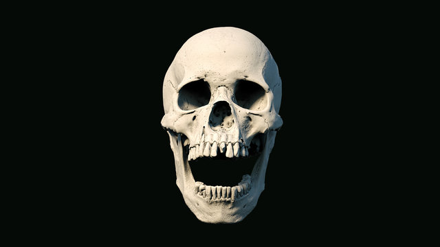 Human skull on Rich Colors a Black Isolated Background. The concept of death, horror. A symbol of spooky Halloween, Virus. 3d rendering illustration.
