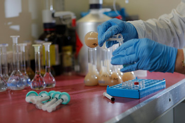 scientist working in laboratory