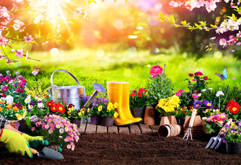 Spring Gardening - Flowerpots An Equipment In Sunny Garden