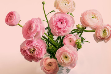 Obraz na płótnie Canvas Bouquet of ranunculus pastel pink blossom. Ranunculus asiaticus or Persian Buttercup. Nice greeting card for Mother's Day or Momen's Day. Springtime, holiday greeting.