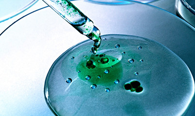 Pipette Petri Dish Green Blue Liquid Laboratory Virus Macro