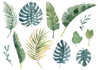 Fototapeta na wymiar Collection of watercolor tropical green leaves. Isolated illustration on white background