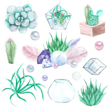 Hand drawn watercolor succulents, plant terrarium, feathers and crystals illustration, gemstone set isolated