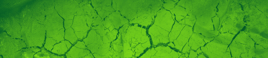 Obraz na płótnie Canvas abstract green bright color background for design