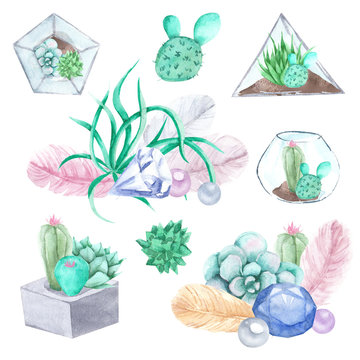 Hand drawn watercolor succulents, plant terrarium, feathers and crystals illustration, gemstone set isolated