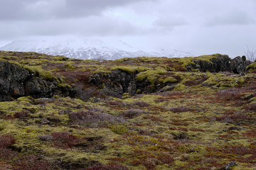 The Tektonic plates split in Iceland on a cloudy and drizzly day