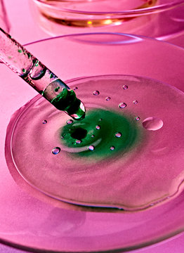 Pipette Petri Dish Green Pink Liquid Laboratory Virus macro