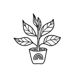 Cute plant in a flower pot with a rainbow. Vector illustration in doodle style of a home plant. Isolated object for your design.