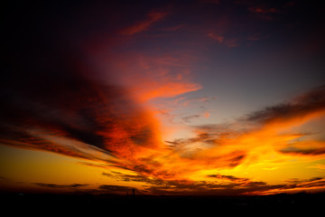 Mezquite en atardecer