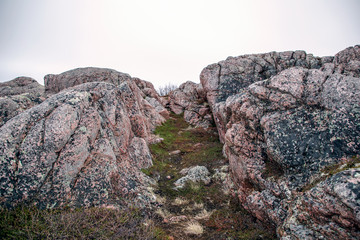 the nature of the Arctic Circle