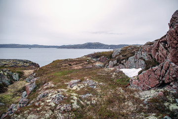 Fototapeta na wymiar rocky shores of the Barents Sea north of Russia