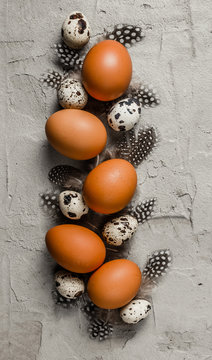Different types of eggs on a cocnrete plate. Top view
