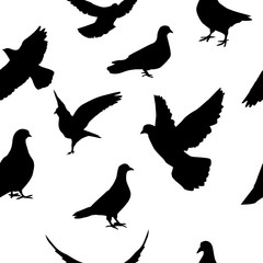 A seamless background silhouette of pigeons. Vector illustration