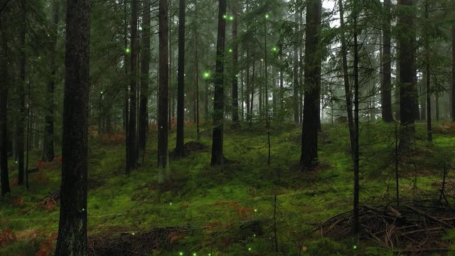 Glowing fireflies in mystical green forest landscape. 