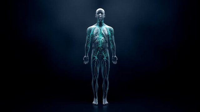 Immune system defends the body against infections and diseases
