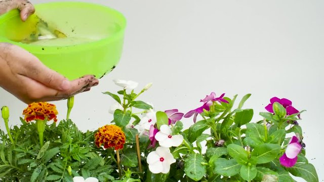 girl plant trees and watering the flower