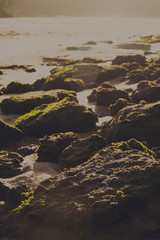 River Road V - Landscape Photography - Cape Fear River