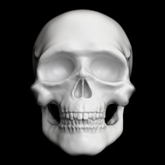 Fototapeta premium Ilustracja 3D renderowane białą czaszkę