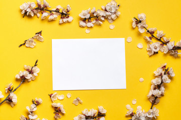white envelope on a yellow background in an oval frame from flowering branches of apricot trees. place for text