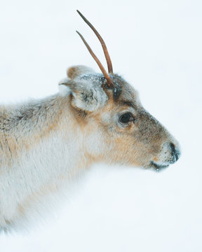 Photography by Charly Savely.